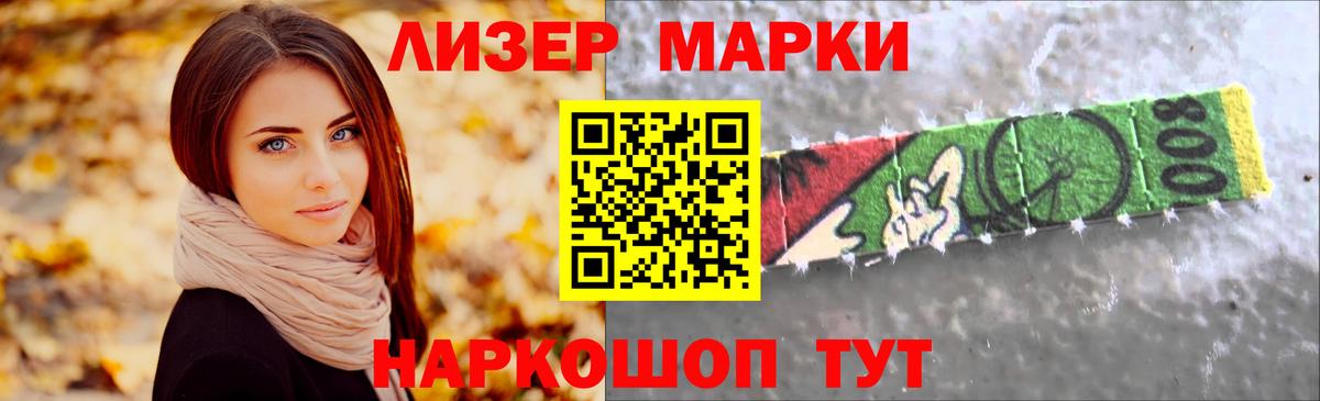 Псилоцибиновые грибы Майкоп