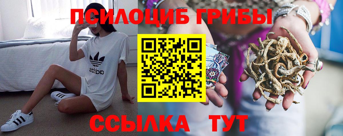 Галлюциногенные грибы Magic Shrooms  Псилоцибиновые грибы ЛСД  Вход с VPN  Майкоп 