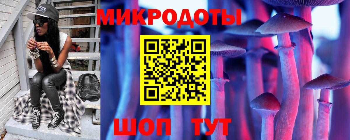 Псилоцибиновые грибы Psilocybine cubensis Майкоп