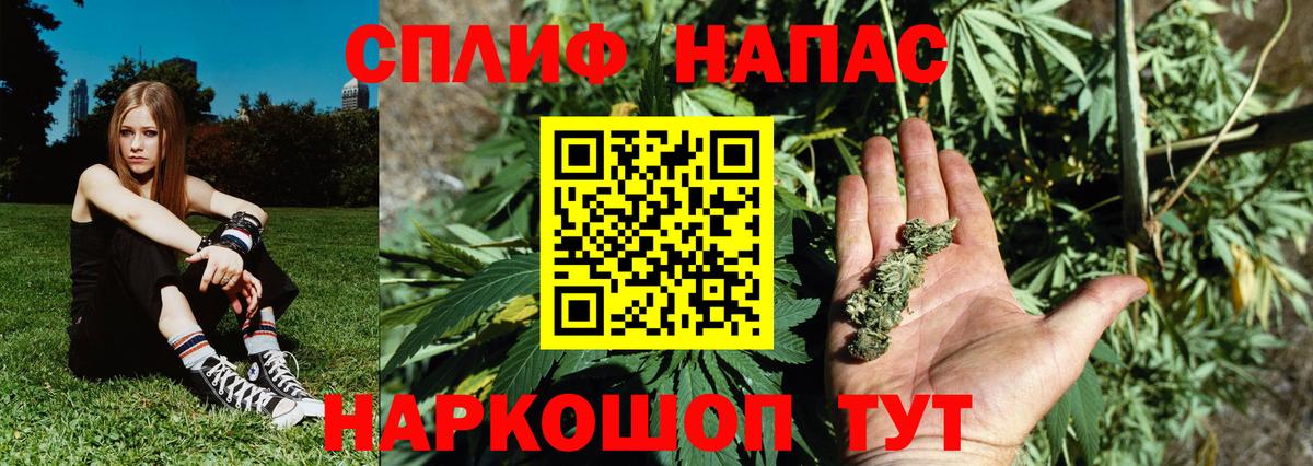 Бошки Шишки семена  Канабис планчик  Вход с VPN  Майкоп 